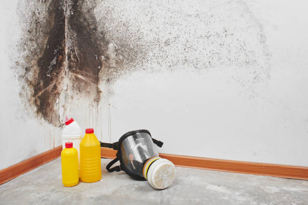 Best Mold Testing  in Oswego, KS