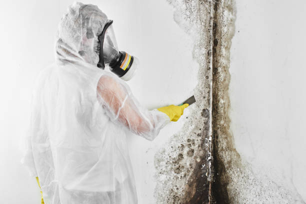 Best Office Mold Removal Services  in Oswego, KS