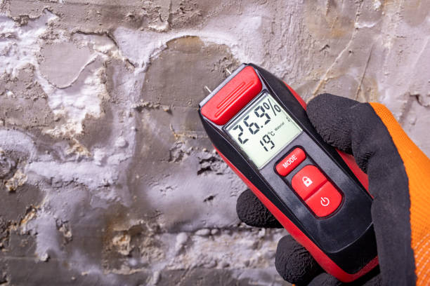 Best Mold Testing  in Oswego, KS