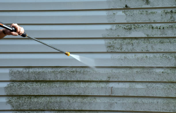 Best Residential Mold Removal  in Oswego, KS