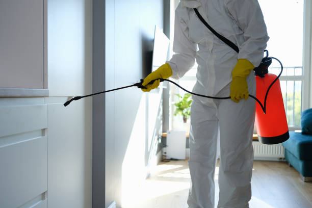 Home Mold Removal in Oswego, KS