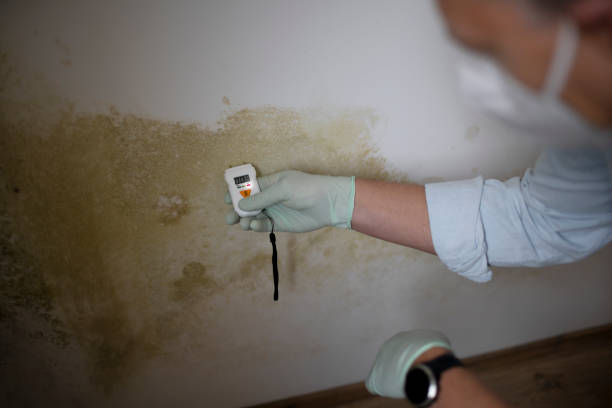Best Home Mold Removal  in Oswego, KS
