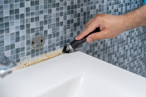 Best Home Mold Removal  in Oswego, KS