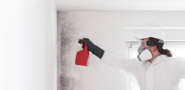 Trusted Oswego, KS Mold Removal Experts