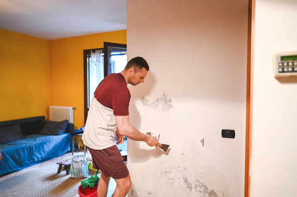 Certified Mold Removal in Oswego, KS