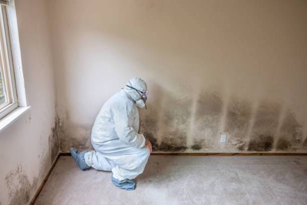 Best Fast Mold Removal  in Oswego, KS
